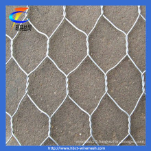 Galvanized Hexagonal Netting